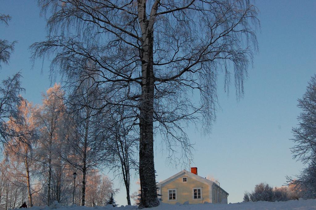 Brunnsgarden Bed & Breakfast Skellefteå Εξωτερικό φωτογραφία
