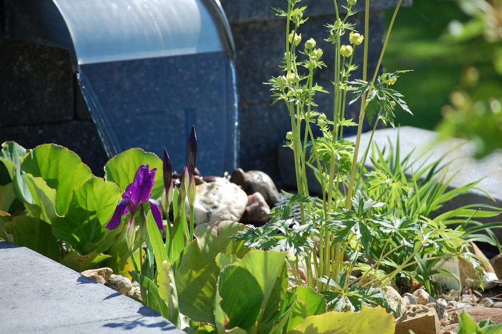 Brunnsgarden Bed & Breakfast Skellefteå Εξωτερικό φωτογραφία